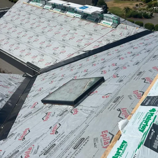 WhatsApp Image 2025-12-17 at 08.57.14 (1)